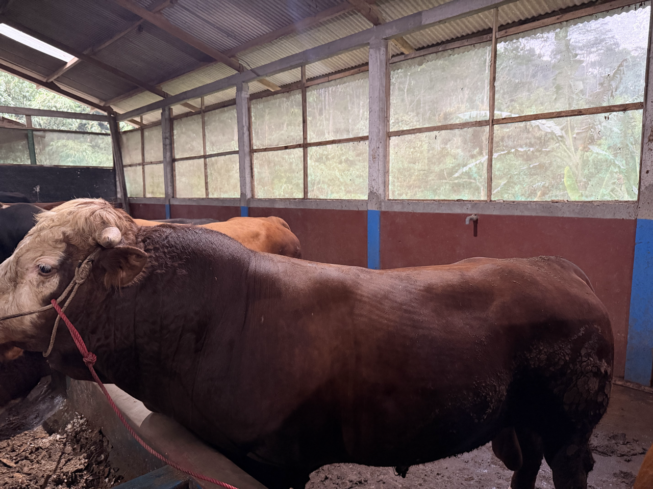 Simental SMT-SUP-003